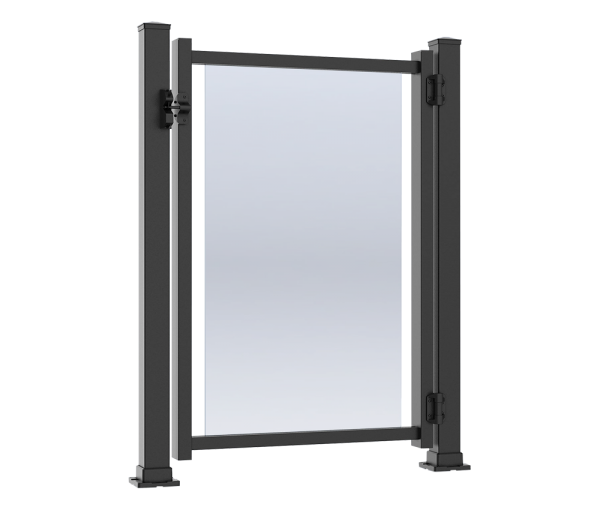 Porte soudée Moderne en verre clair